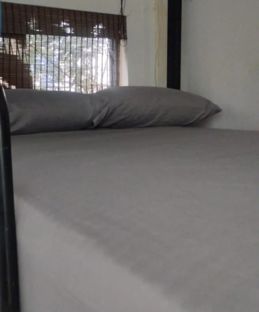 Guest house Area 51 Hostel Medellin Colombia